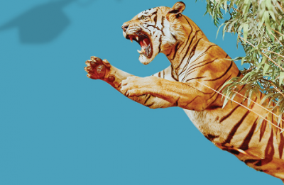 Tiger Style! at Writers Theatre  — September 29 - October 30, 2022